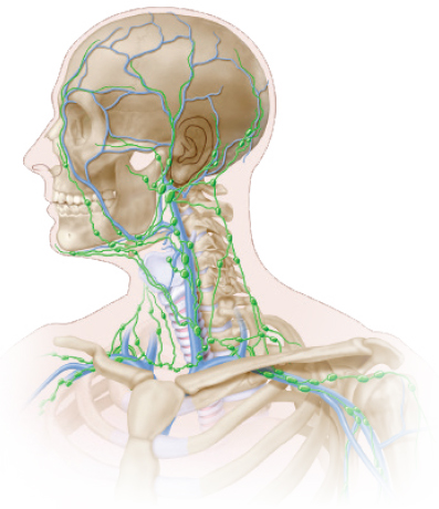 Head and Neck Cancer Lymphedema
